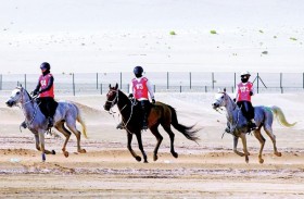 اكتمال الاستعدادات لانطلاق مهرجان أبوظبي للقدرة تحت رعاية منصور بن زايد