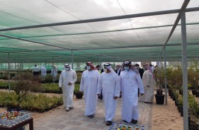 بلدية منطقة الظفرة تفتتح عدداً من المرافق الخدمية والترفيهية خلال أسبوع التشجير