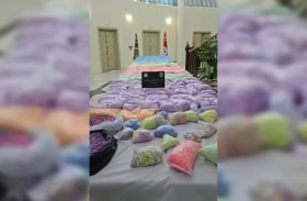 أكبر عملية ضبط مواد مخدرة في تونس