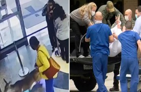 غزال شارد يقتحم مستشفى