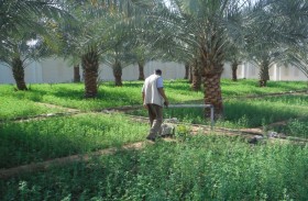 بيئة أبوظبي .. جهود حثيثة للمحافظة على المياه الجوفية في الإمارة