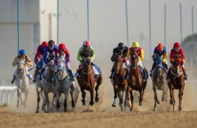منافسات قوية في بطولة الخيل العربي الأصيل بمهرجان الظفرة