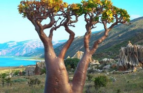 تعرف على المكان الأكثر غرابة على وجه الأرض