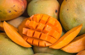 المانجو قد يكون عنصرا غذائيا مهما للحوامل