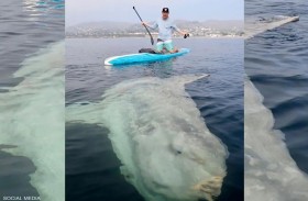 صيادان يرصدان وحشا بحريا عملاقا