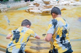 سي وورلد أبوظبي تستقبل ضيوفها بالفعاليات التثقيفية والترفيهية 