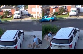 ديك يهاجم رجلا أمام منزله