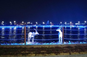 بلدية منطقة الظفرة تنجز مشروع واحة مدينة زايد في مرابع الظفرة