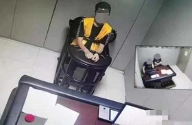 بعوضة تقبض على السارق!