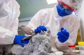 روسيا تنتج أول دفعة من لقاح كوفيد للحيوانات