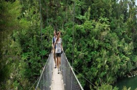 تاها 18 يوما في غابة ثم حدثت المعجزة