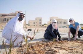 بلدية مدينة أبوظبي تنفذ مبادرة  «مدينتنا خضراء»  في مدينة محمد بن زايد