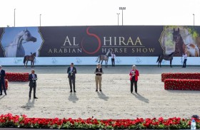 بطولة الشراع الدولية لجمال الخيل.. «اسطبلات الأريام» تحصد 3 ألقاب في اليوم الأول