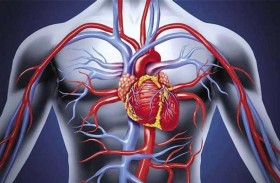 عوامل تدمر الأوعية الدموية