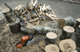 بطولة للصحفيين والمدونين في تقطيع الحطب