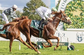 المهر «لوف مي» يحرز لقب كأس الوثبة في بولندا