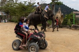 أفيال جديدة بمتنزه تايلاندي تستقبل السياح