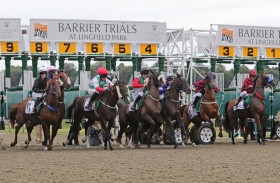 اليوم.. 8 خيول تتنافس على كأس الوثبة للخيول العربية في بريطانيا