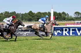 «فريدا» و «دوماس» و «إيفاندو»  و «أصلان» أبطالا لسباقات كأس الوثبة