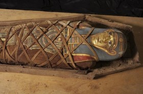 فحص مومياء لتحديد الهوية