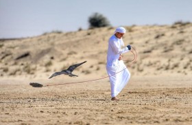 انطلاق منافسات «الشيوخ» اليوم ضمن بطولة فزاع للصيد بالصقور 