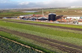 15 % من الأراضي الصالحة للزراعة في العالم ملوثة بمعادن ثقيلة 