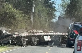 انقلاب شاحنة يتسبب بفرار 250 مليون نحلة 