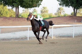 اليوم.. 8 أشواط في السباق التاسع على مضمار العين للفروسية