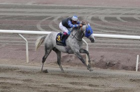 «مهداف عذبة» يتوج بطلا لكأس رئيس الدولة للخيول العربية الأصيلة في السويد