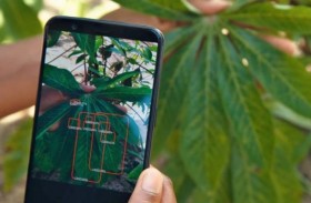 يحولون الهاتف المحمول لعيادة زراعية