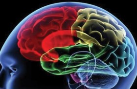 كيف تنسق الدماغ بين الكلام والتنفس؟