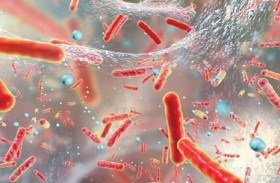 دراسة تكشف «أقدم أمراض» أصابت البشر