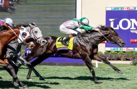 اليوم.. 82 خيلاً تتنافس في الأمسية الافتتاحية لموسم كرنفال سباقات دبي بـ «ميدان»