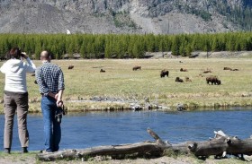 القتل النبيل.. مهمة غريبة لاصطياد حيوانات في الغابة