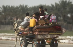 فرنسا تمنح «حمير غزة» حق اللجوء.. ما القصة؟