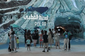 سي وورلد أبوظبي .. أيقونة ترفيهية تثري المعرفة بالبيئة البحرية