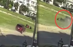 تدهس أسرة كاملة خلال نزهة عائلية