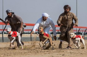 انطلاق الجولات التأهيلية لبطولة السلق 2021 على مدار أربعة أيام متتالية من 29 يناير الجاري