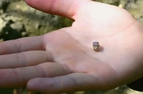 تعثر على ماسة نادرة في حديقة 