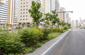 بلدية مدينة أبوظبي تطور الجزيرة الوسـطية لشارع الشيخ خليفة بن زايد في جزيرة أبوظبي