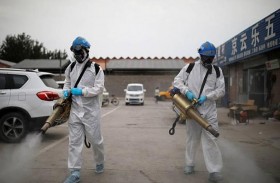 كورونا يعيش 20 عاماً في الأجواء الباردة