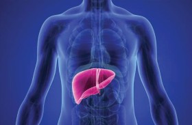 الكحول والمواد الكيميائية الدائمة مزيج قاتل للكبد