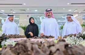 عمار بن حميد: الصناعة ركيزة أساسية بمسيرة التنمية الاقتصادية المستدامة