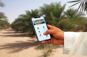 مهرجان ليوا للرطب يتيح تطبيقه الذكي للراغبين بالمشاركة