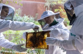 مدينة إكسبو دبي تنظّم مهرجان النحل 24 و 25 مايو