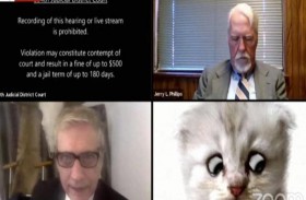 خلال محاكمة عن بعد.. المحامي يؤكد أنه ليس قطة