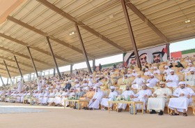 مزاينة مدينة زايد تستقطب 2289 مالك إبل واستعدادات مكثفة لمهرجان الظفرة الختامي