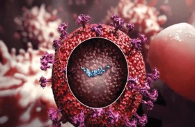 اكتشاف جين يحجب الفيروسات القاتلة