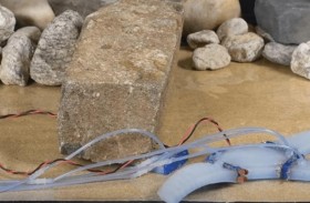 روبوت مثل «السحلية» يفصل أذرعه ويندمج حسب حاجته