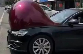 «السيارات الحوامل» تغزو شوارع الصين